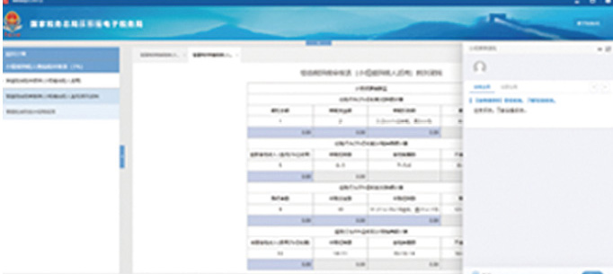 a9报税系统